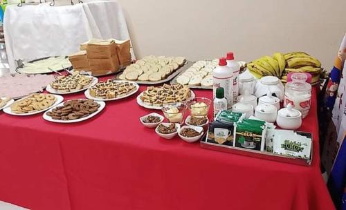 Encarnacion Hotel | Palace Elena Hotel