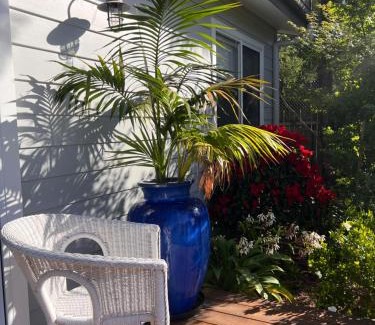 Avalon Beach Apartment | Palm Cottage Avalon Beach