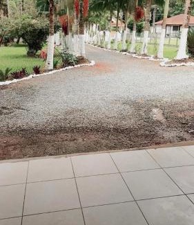 Pomerode House | Palmenhaus