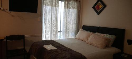 Vicente Lopez Apartment | palmeras swett home