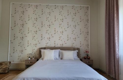 Cluj-Napoca Villa | Pandora Guest House