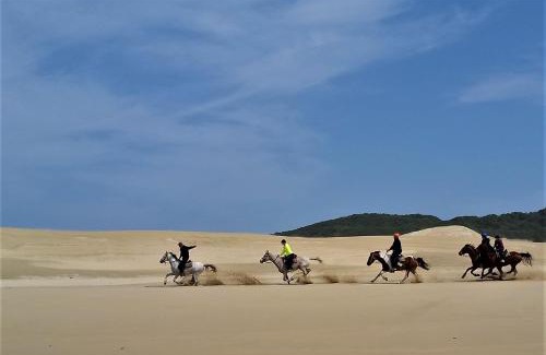 West Bank House | Panorama Guest House