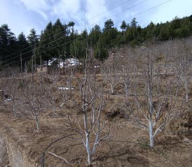 Kalpa House | Panorama Home Stay