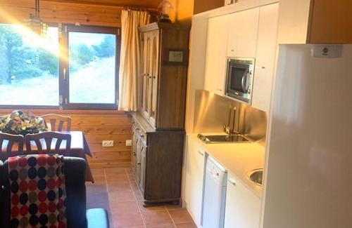 Soldeu Apartment | PANORAMIC - Peu del Riu Hut 6163 - Vall d'Incles - Soldeu
