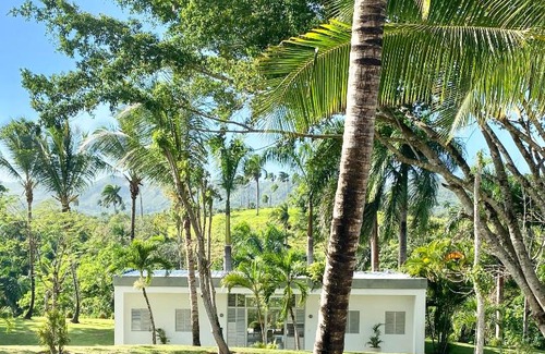 Los Brazos House | Papaya Casita - On an organic farm