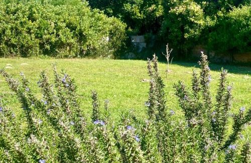 Paradise Beach House | Paradise Beach, Main Beachfront!