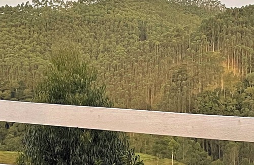 Rio Preto Ski Chalet | Paradise chalet in the jungle