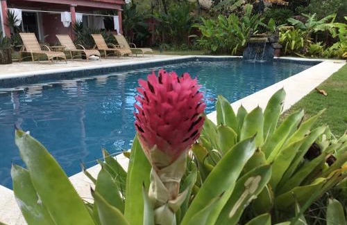 Sao Sebastiao House | Paradiso Al Mare