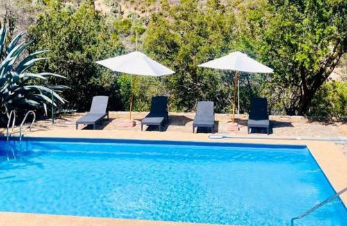 Olmue House | Parcela entre árboles nativos