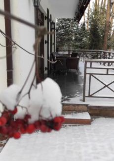 Chubynske Hotel | Park-Hotel Kidev