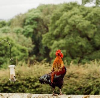 Staddlebridge Bed & Breakfast | Park House