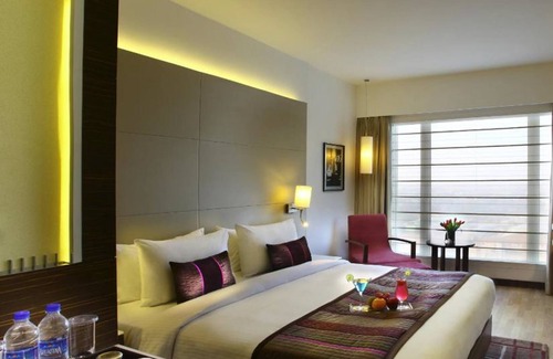 Delhi Hotel | Park Plaza Delhi CBD Shahdara