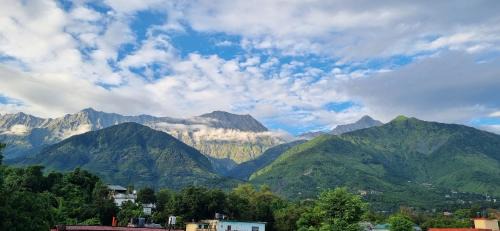 Sidhpur Bed & Breakfast | Peace Yard