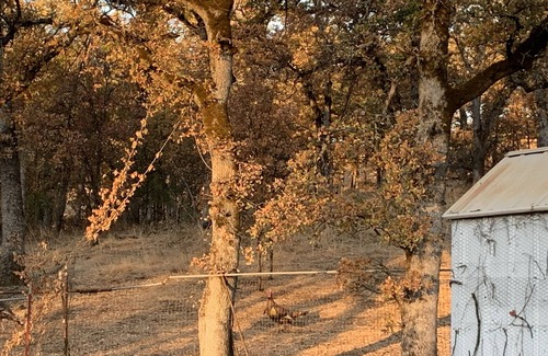 Redding House | Peaceful Country-feel Cottage in town