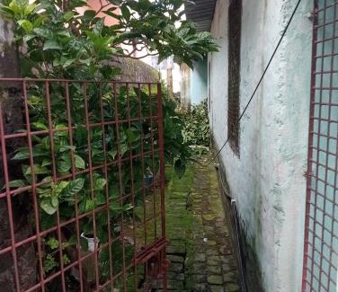 Berhampore Villa | Peaceful Farm house