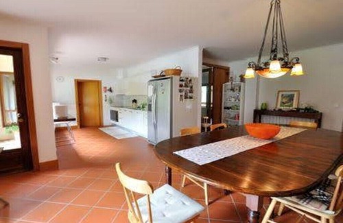 Fragoso House | Peaceful Home and 10000 m²Private Park, near Barcelos and Viana do Castelo