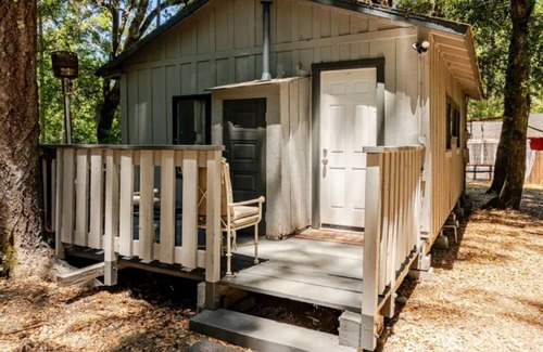 La Honda Apartment | Peaceful Small Studio /Cabin is 100 years old with WiFi in La Honda Forest