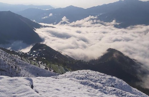 Shilla House | Peach Villa Farm Stay