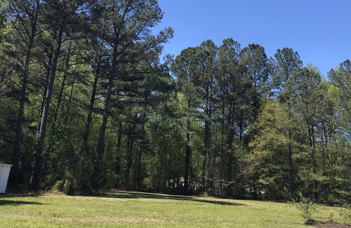 Johnston County Apartment | Pearly Paradise