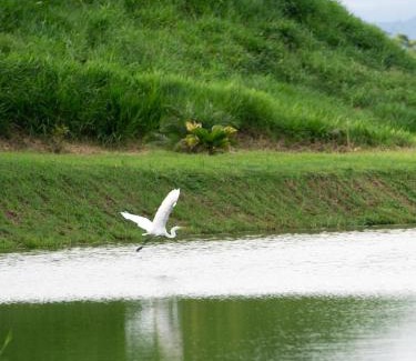 Veraguas House | Pebble Beach