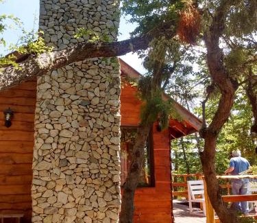 Moquehue Ski Chalet | Pendientes de Moquehue