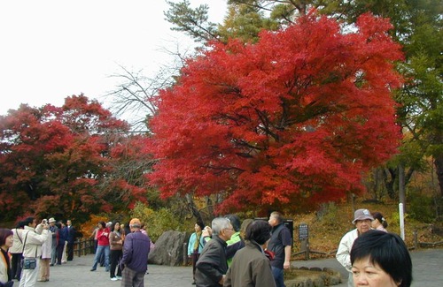 Kitashiobara House | Pension Hana Kirin