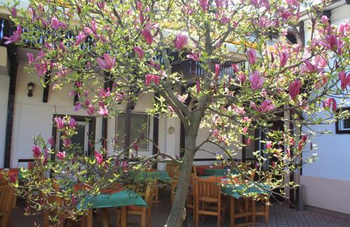 Tirgu Mures House | Pension Tip-Top