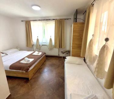 Viseu de Sus Bed & Breakfast | Pensiunea Axenia Ale