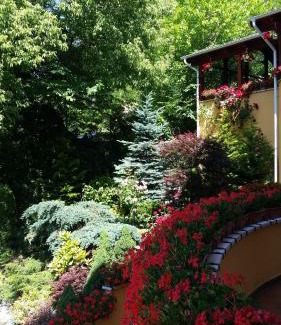 Tirgu Mures House | Pensiunea Europa