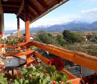 Cartisoara House | PENSIUNEA LEIA Transfăgărășan