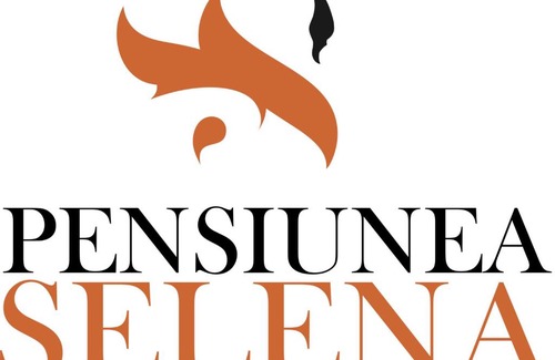 Viseu de Sus House | Pensiunea Selena
