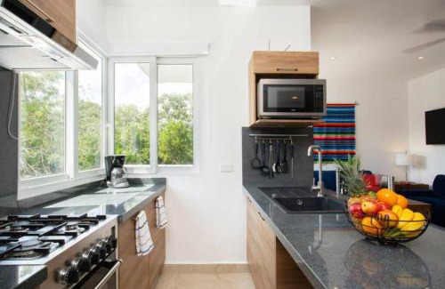 Akumal Apartment | Penthouse Akumal Condo