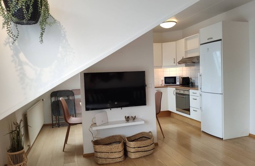 City Center Apartment | Penthouse apartment in Akureyri city center