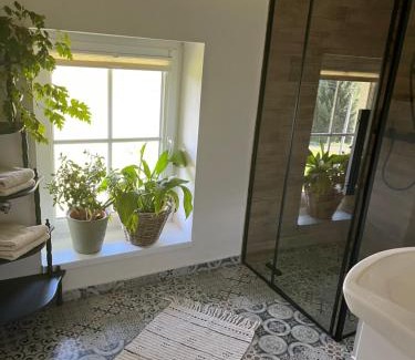 Mezimesti House | Penzion WIESEN