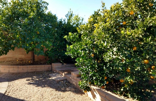 Green Valley Country Club Vistas House | Perfect getaway for Snowbirds