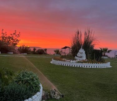 Sinop Apartment | Perice Konak orta kat