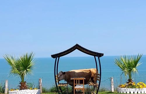 Sinop Apartment | Perice Konak