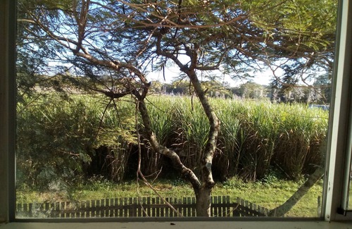 Kuttabul Apartment | Pet friendly 'Glamping' on ground level of 2-storey house with rural views