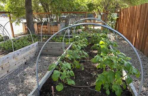 Ennis House | Pet friendly home with fenced yard, gardens and sauna one block from Main Street