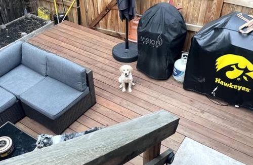 Arapahoe Ridge House | Pet friendly in Boulder! Minutes from CU & Pearl!