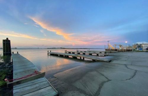 Dauphin Island House | Pet Friendly Tranquil Cottage with Fire-Pit and Seasonal Hot Tub Sept-March Minutes to BEACHES