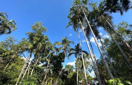 Karama House | Pete's Place