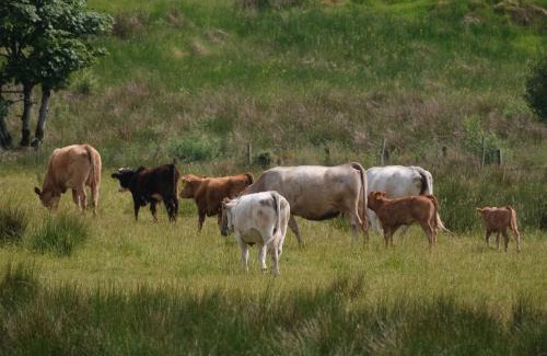 Cookstown House | Peter's Farmhouse