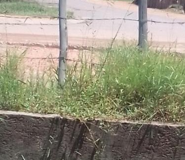 Phalaborwa Bed & Breakfast | Phalaborwa tourist center & tour operator