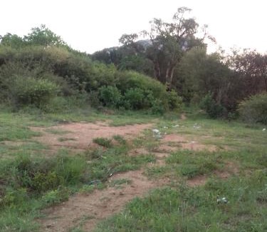 Phalaborwa Bed & Breakfast | Phalaborwa tourist center & tour operator