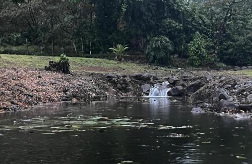 Guapiles Other | Picki's Cabin