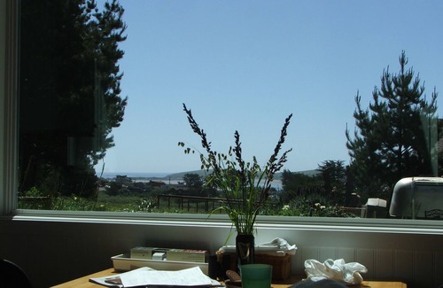 Bodega Bay House | PINE VIEW BUNGALOW - OCEAN VIEW BUNGALOW IN THE PINES AT BODEGA BAY