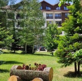 Borovets Apartment | PinePino Borovets, aparthotel Borovets Gardens A60