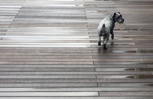 Punggol Apartment | Pinetree Seaview Sunrise Room