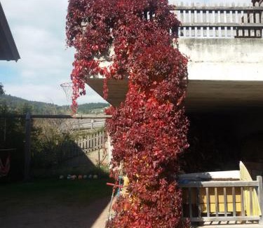 Salonetto House | Pitterle Hof